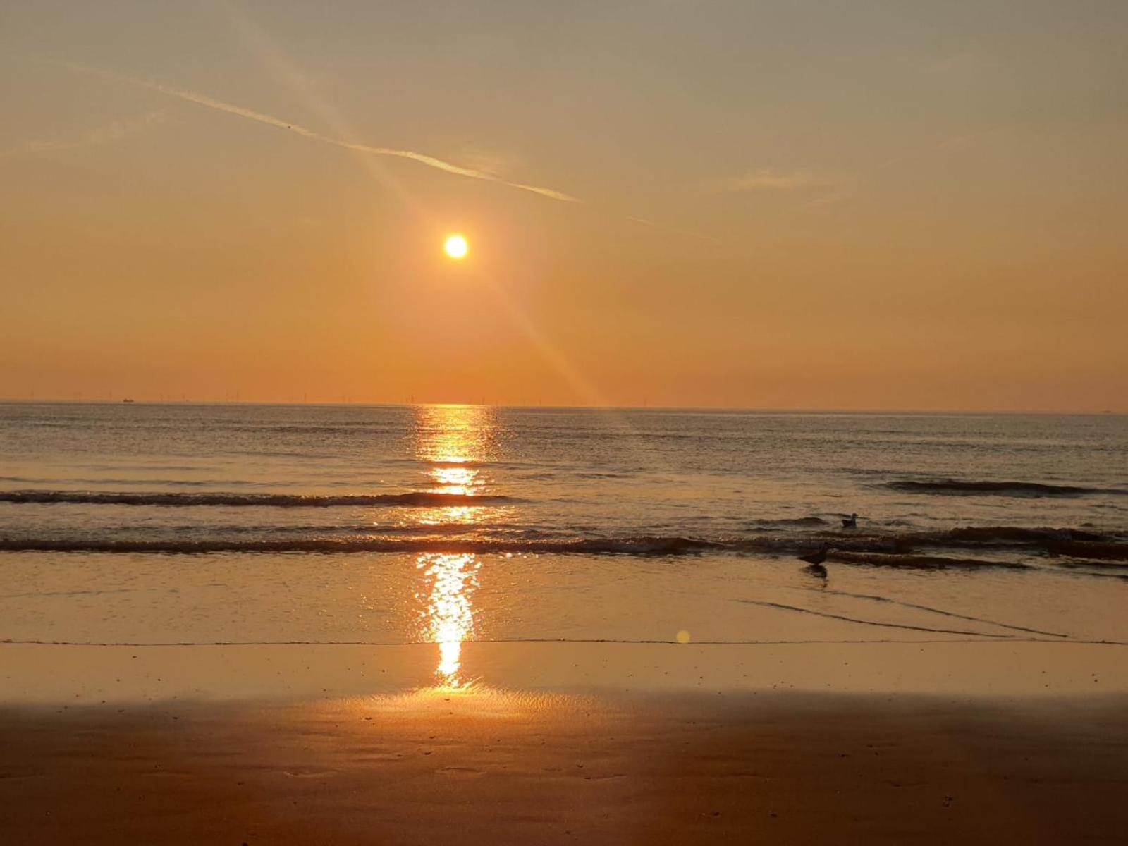 Beach-House27 Egmond aan Zee Bagian luar foto