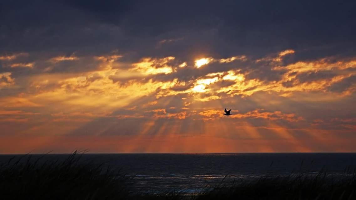 Beach-House27 Egmond aan Zee Bagian luar foto